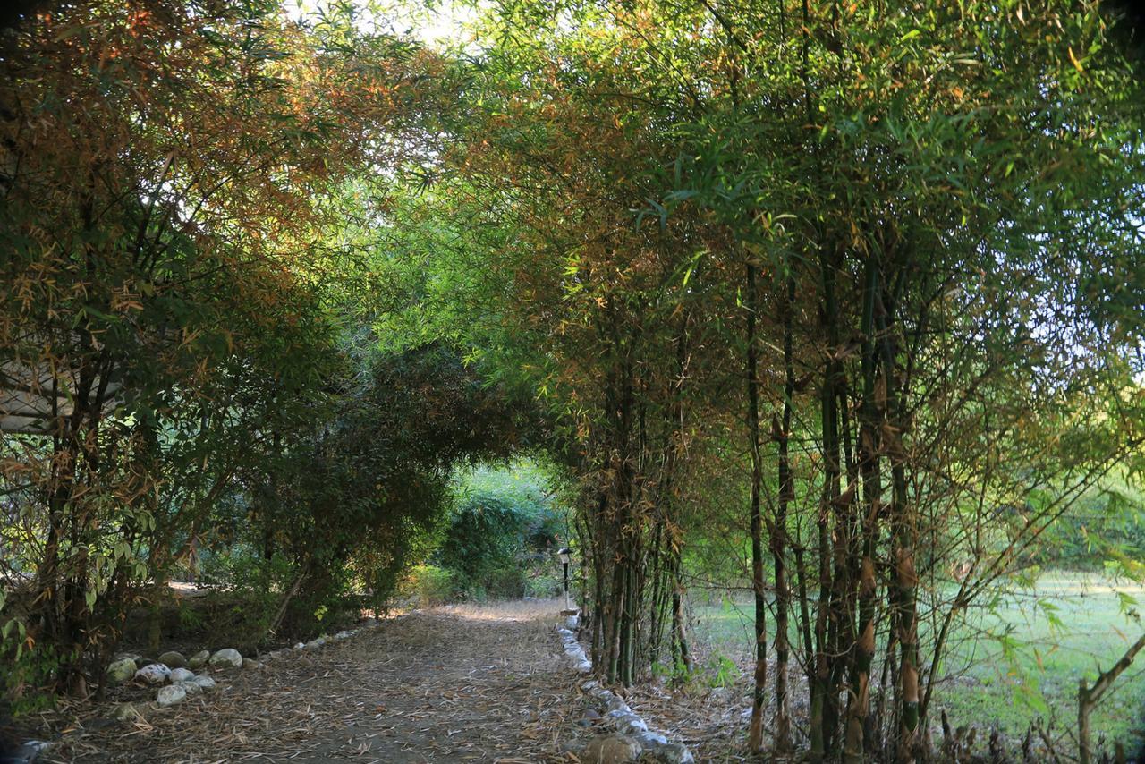帕尔瓦蒂野生度假村 Dhela 外观 照片
